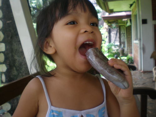 tash-eats-raw-squid