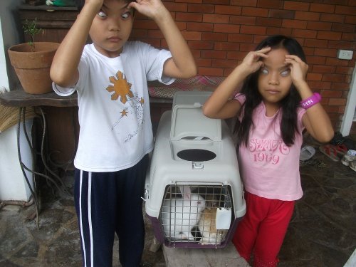 Children and their rabbits striking a pose