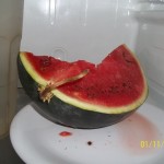 water melon